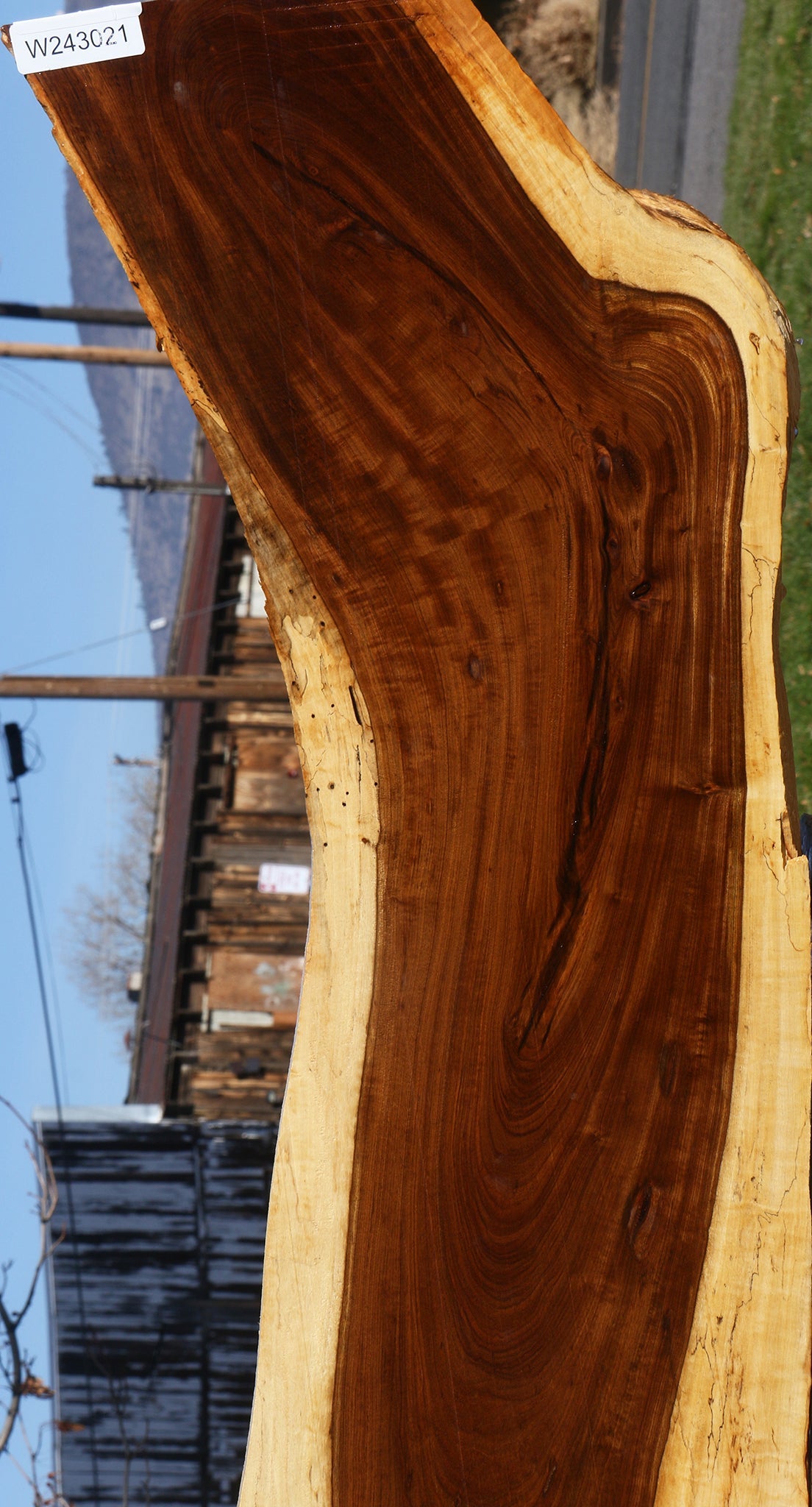 Extra Fancy Tamboti Live Edge Lumber