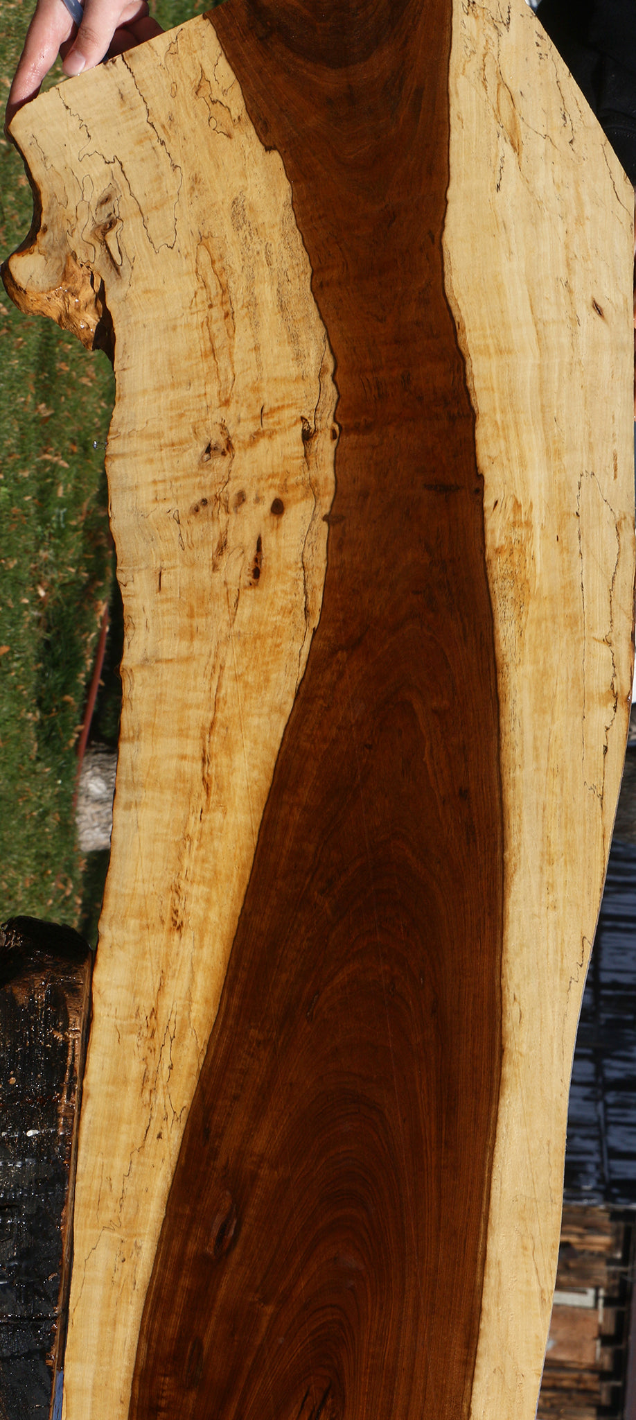 Extra Fancy Tamboti Live Edge Lumber