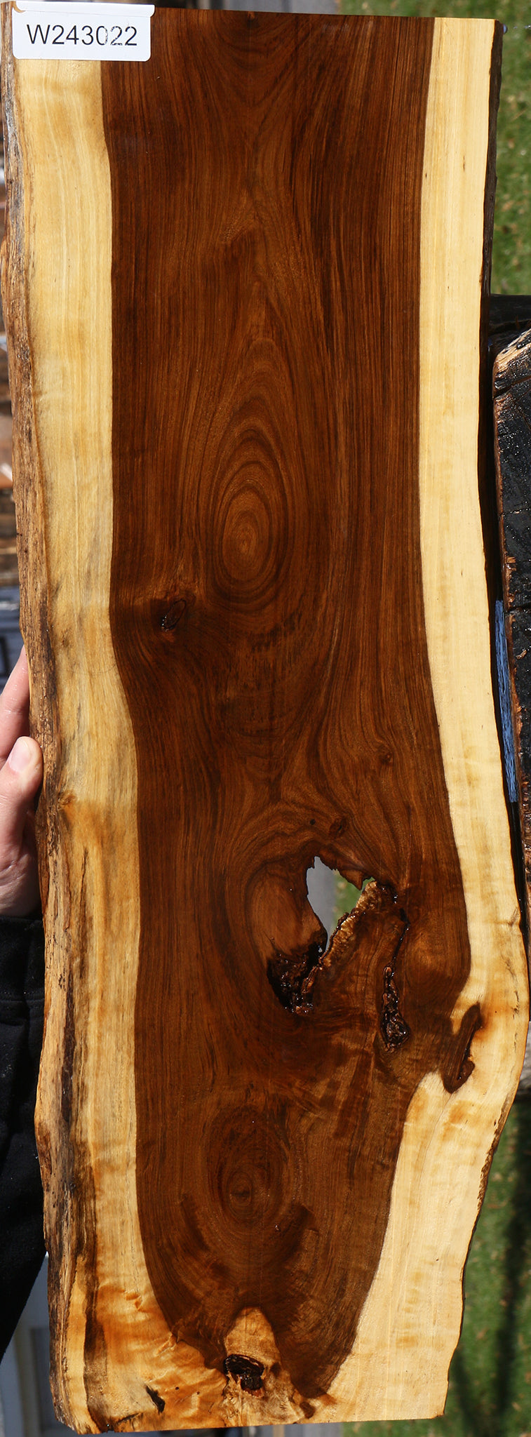 Rustic Tamboti Live Edge Lumber