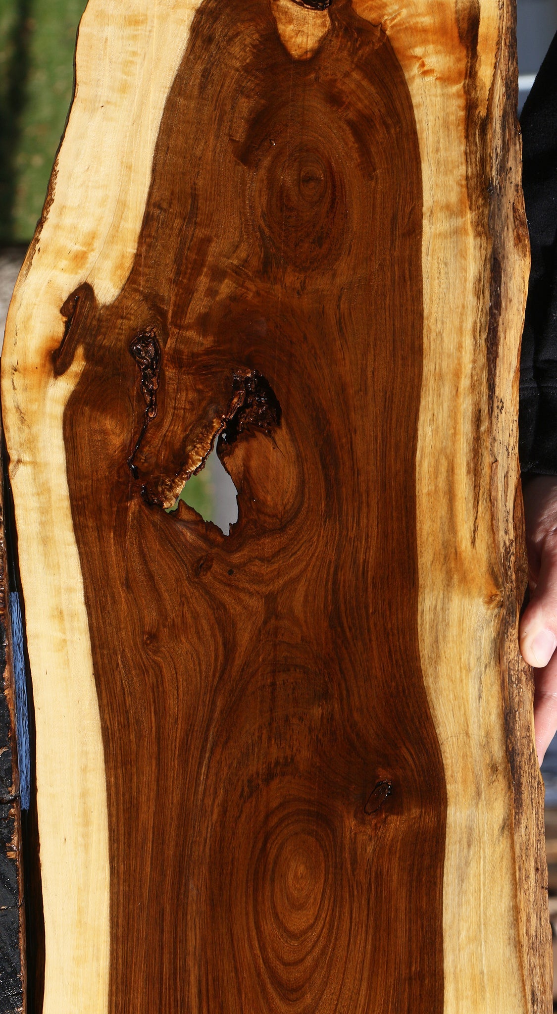 Rustic Tamboti Live Edge Lumber