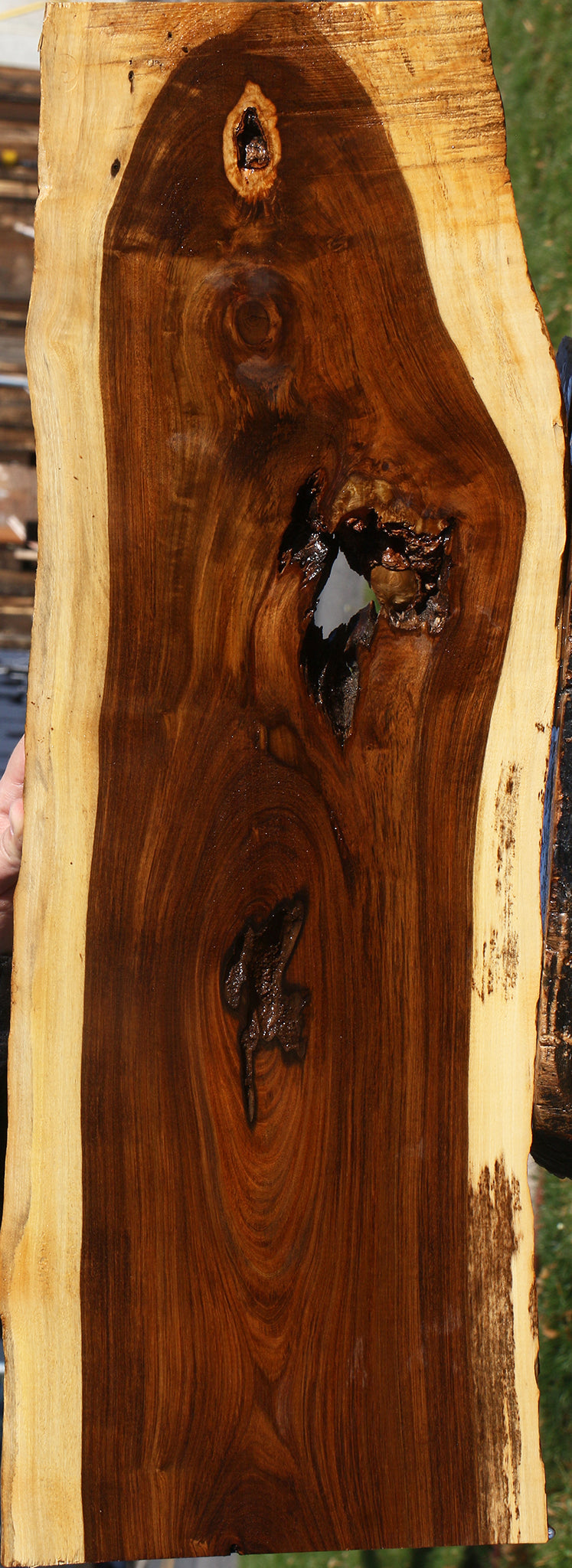 Rustic Tamboti Live Edge Lumber