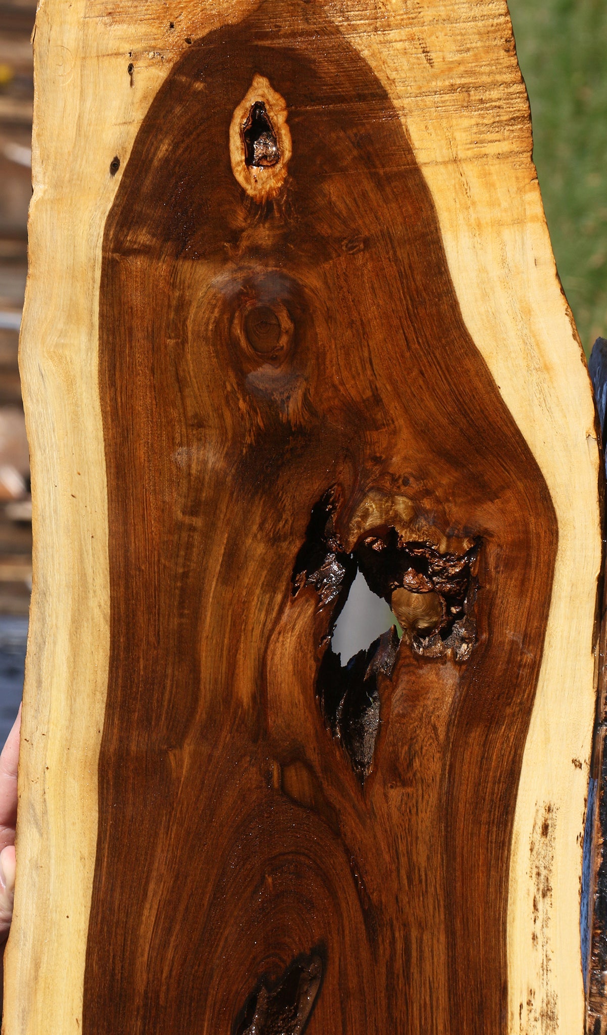 Rustic Tamboti Live Edge Lumber