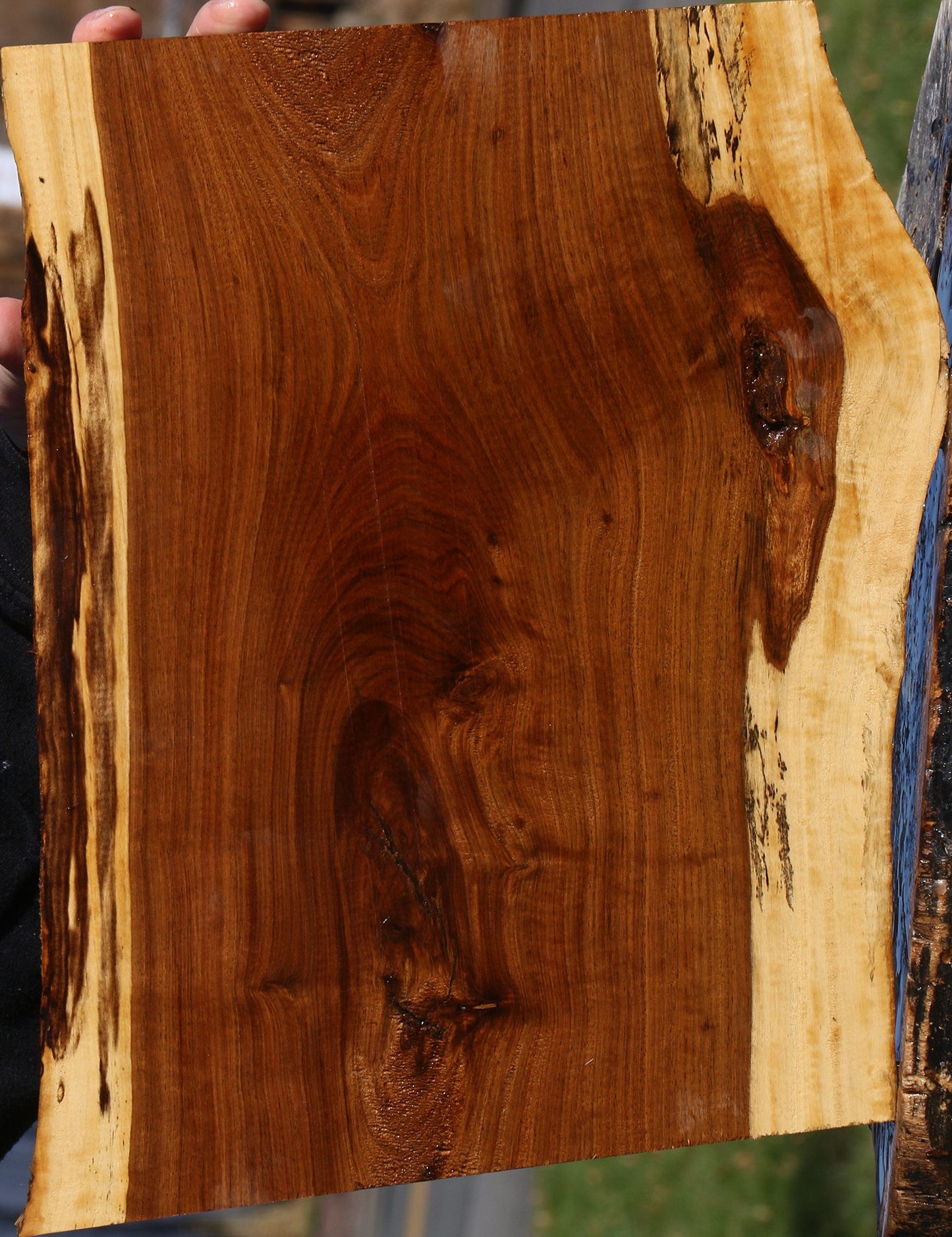 Tamboti Live Edge Lumber