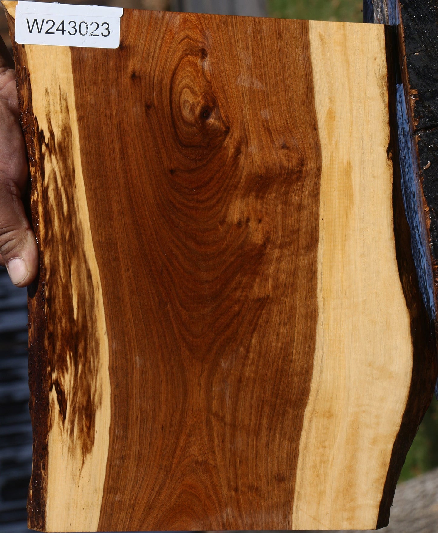 Tamboti Live Edge Lumber