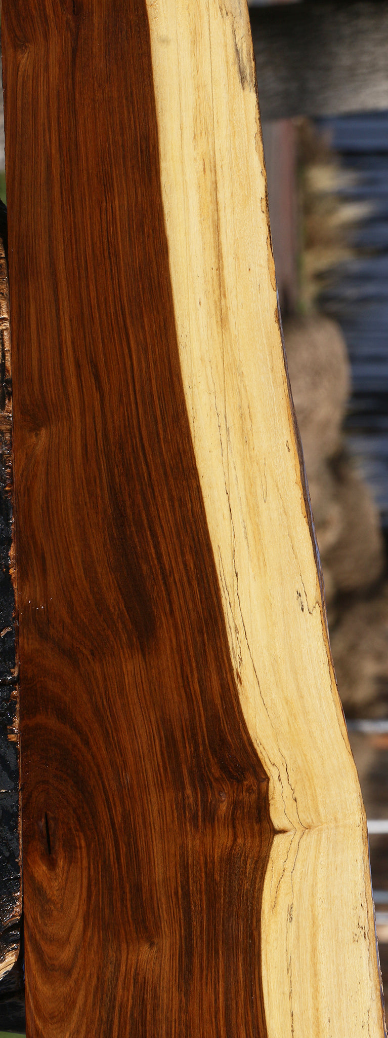 Tamboti Live Edge Lumber