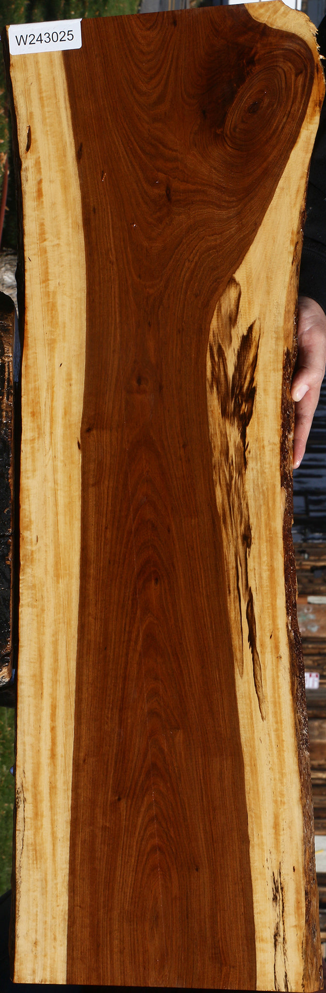 Tamboti Live Edge Lumber