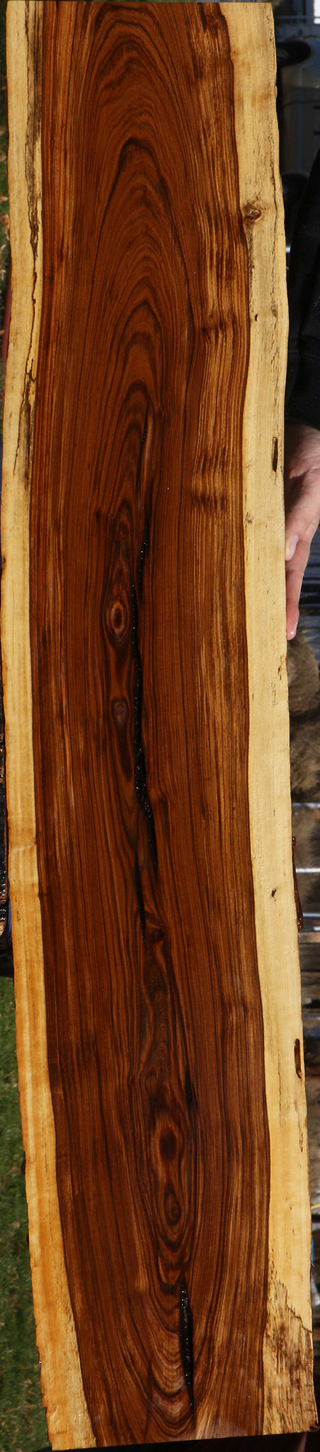 Tamboti Live Edge Lumber