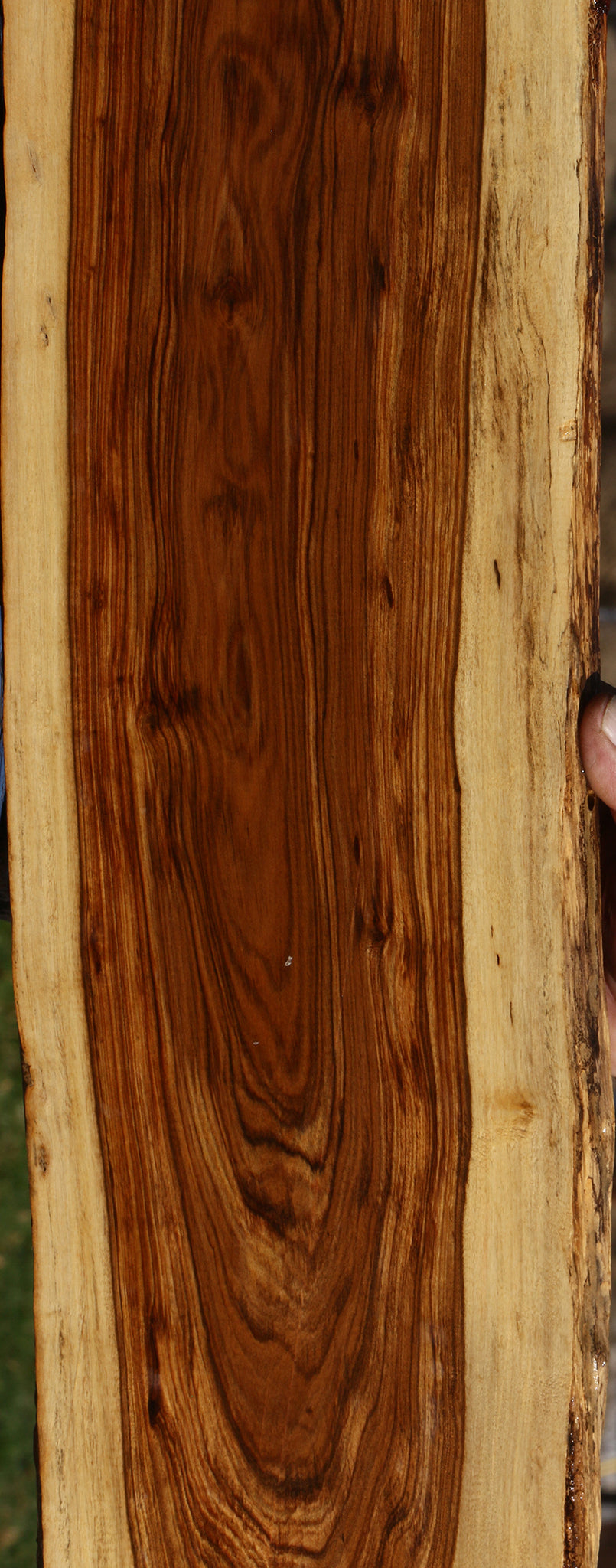 Tamboti Live Edge Lumber