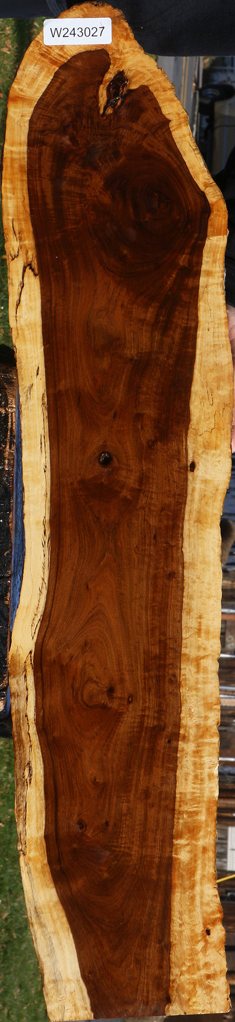 Figured Tamboti Live Edge Lumber