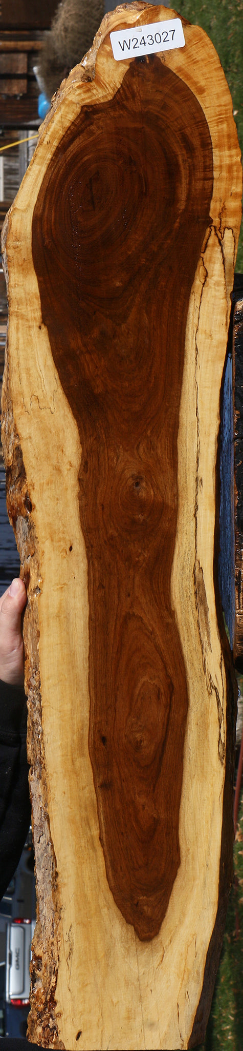 Figured Tamboti Live Edge Lumber