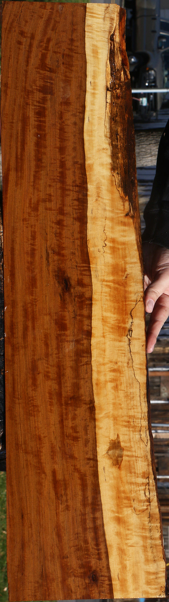 Extra Fancy Tamboti Live Edge Lumber