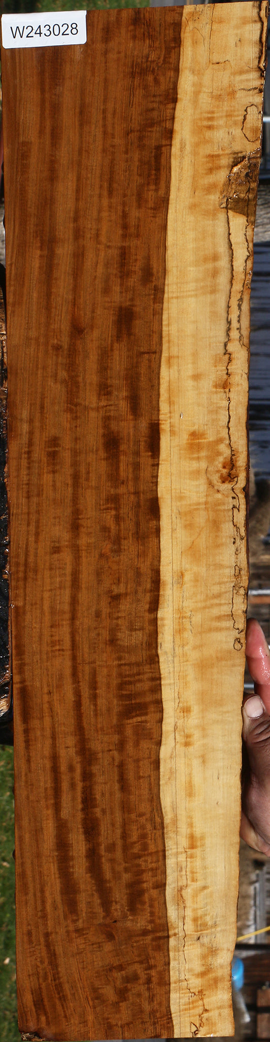 Extra Fancy Tamboti Live Edge Lumber