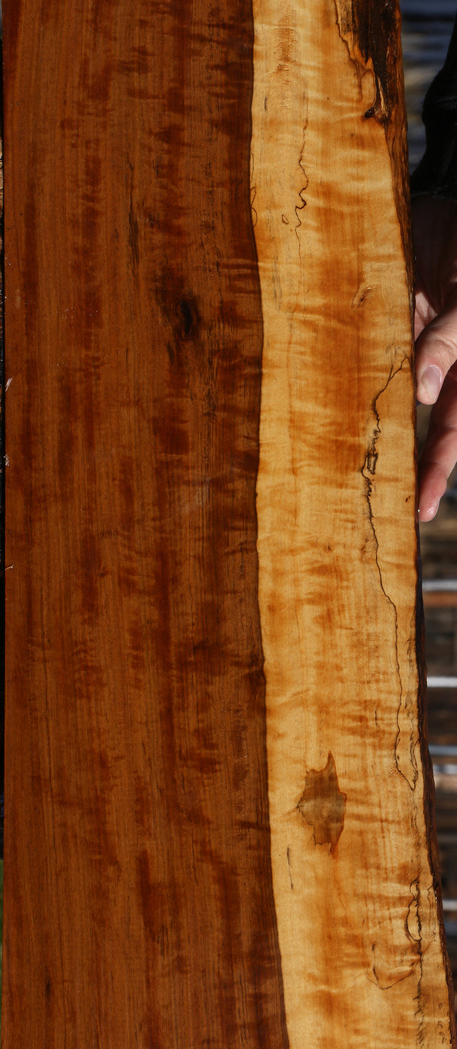 Extra Fancy Tamboti Live Edge Lumber