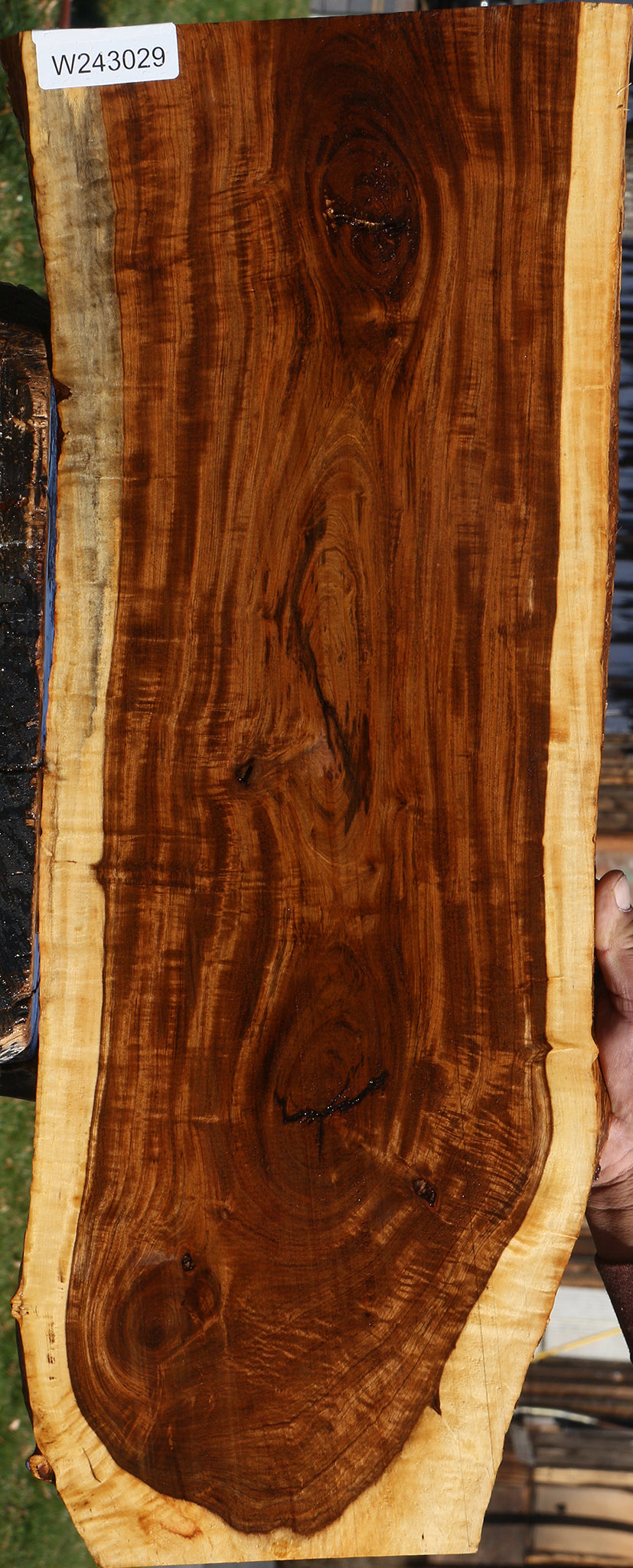 Extra Fancy Tamboti Live Edge Lumber