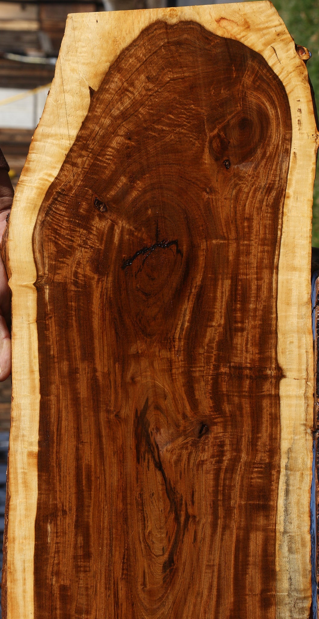 Extra Fancy Tamboti Live Edge Lumber