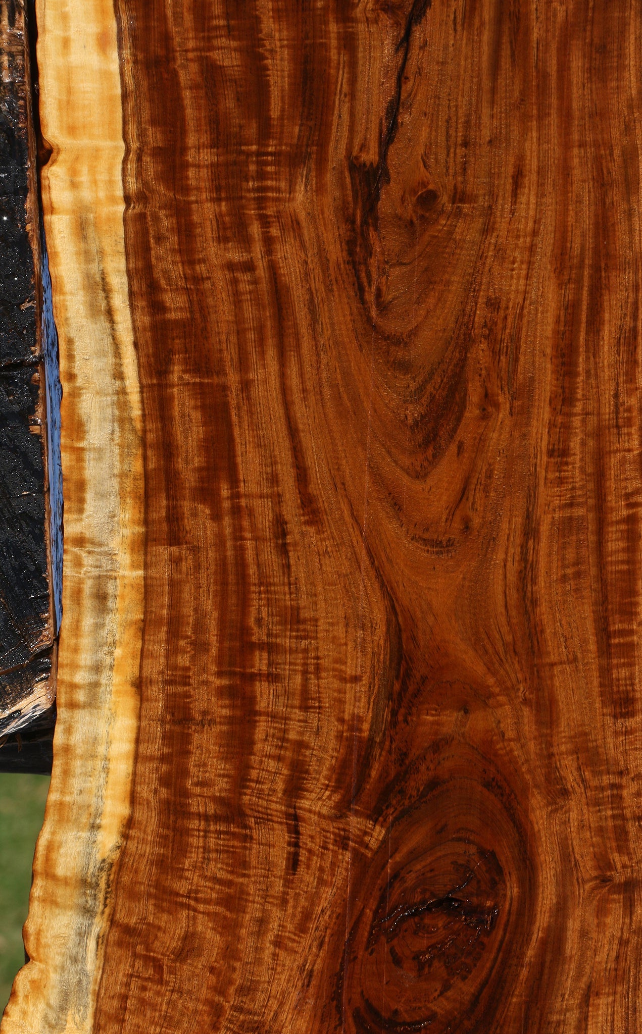 Extra Fancy Tamboti Live Edge Lumber