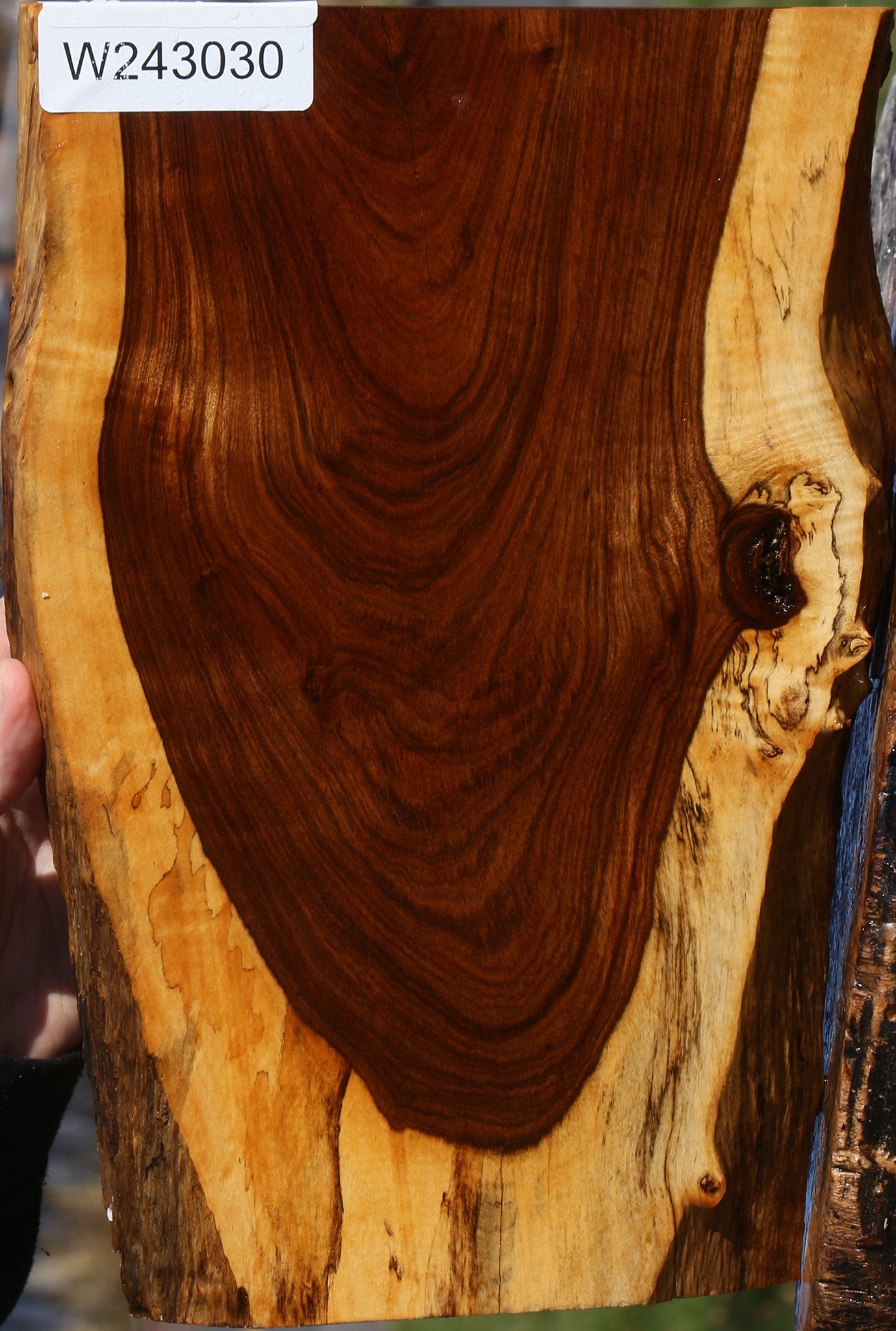 Tamboti Live Edge Lumber