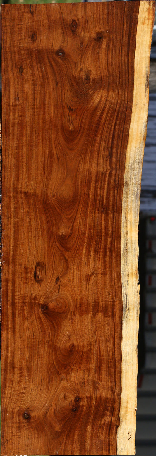 Extra Fancy Tamboti Live Edge Lumber