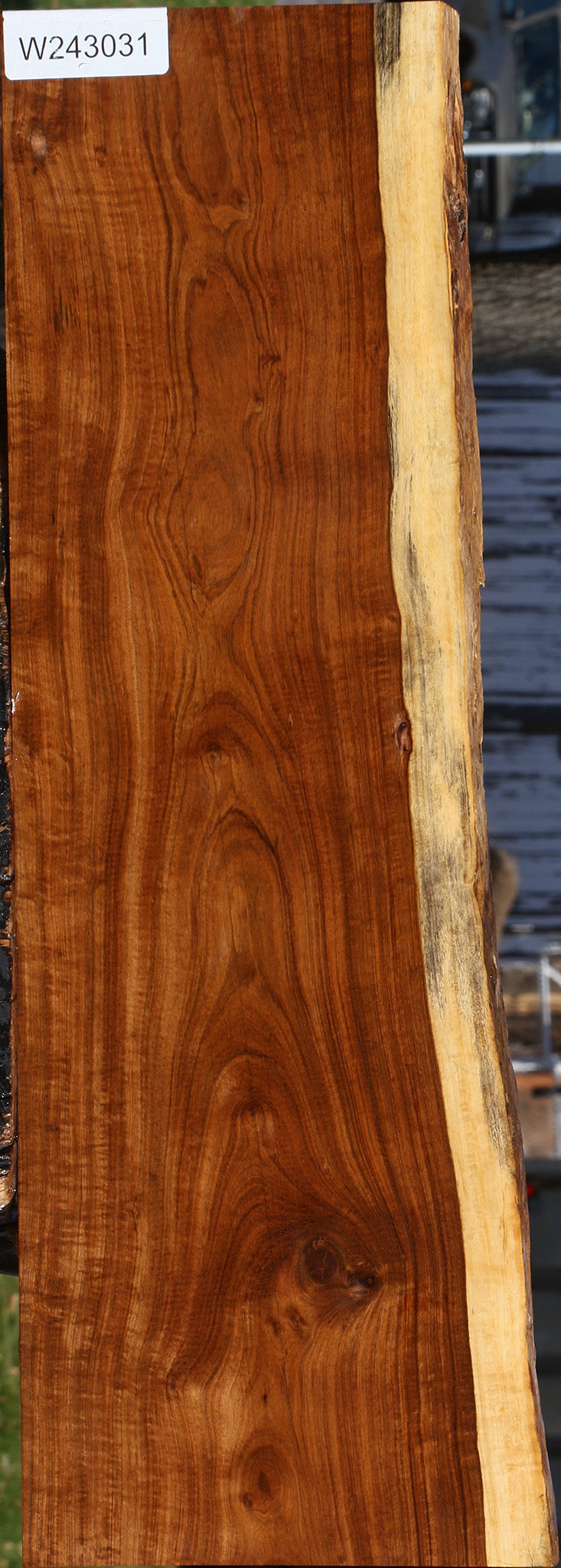 Extra Fancy Tamboti Live Edge Lumber