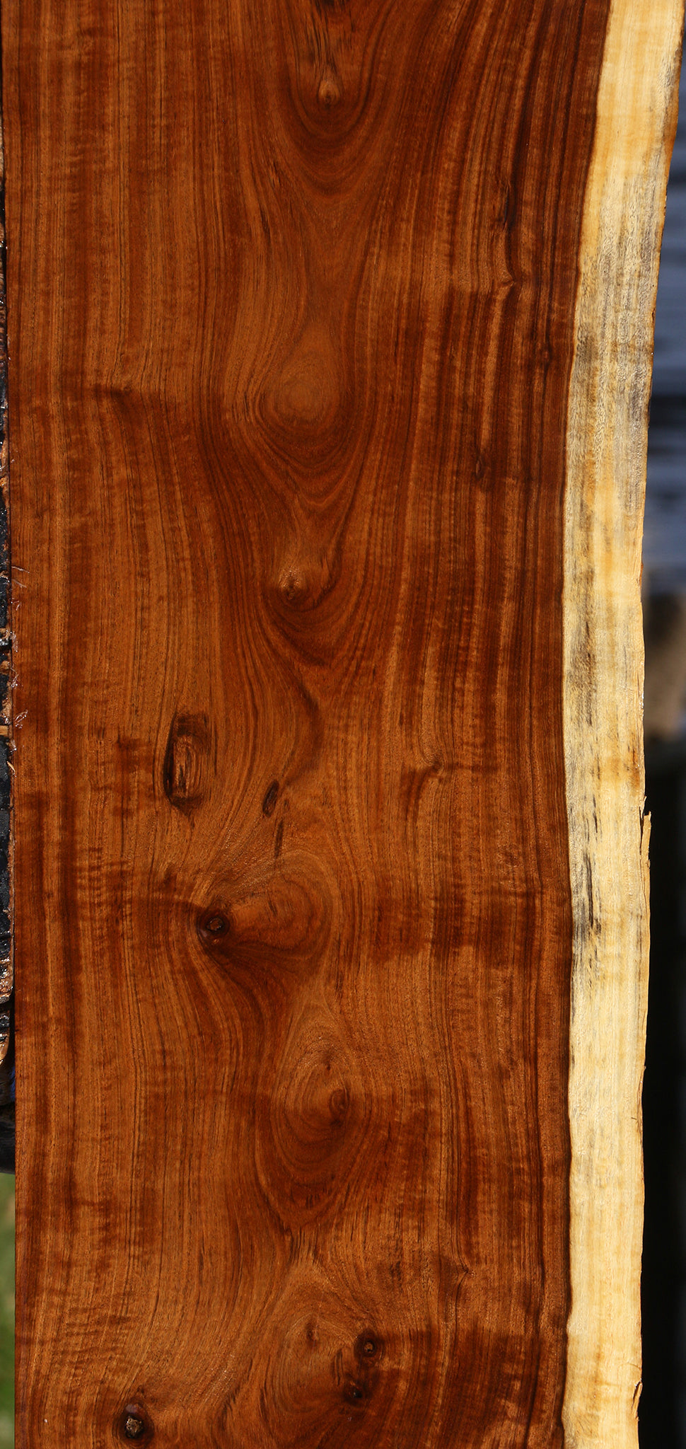 Extra Fancy Tamboti Live Edge Lumber