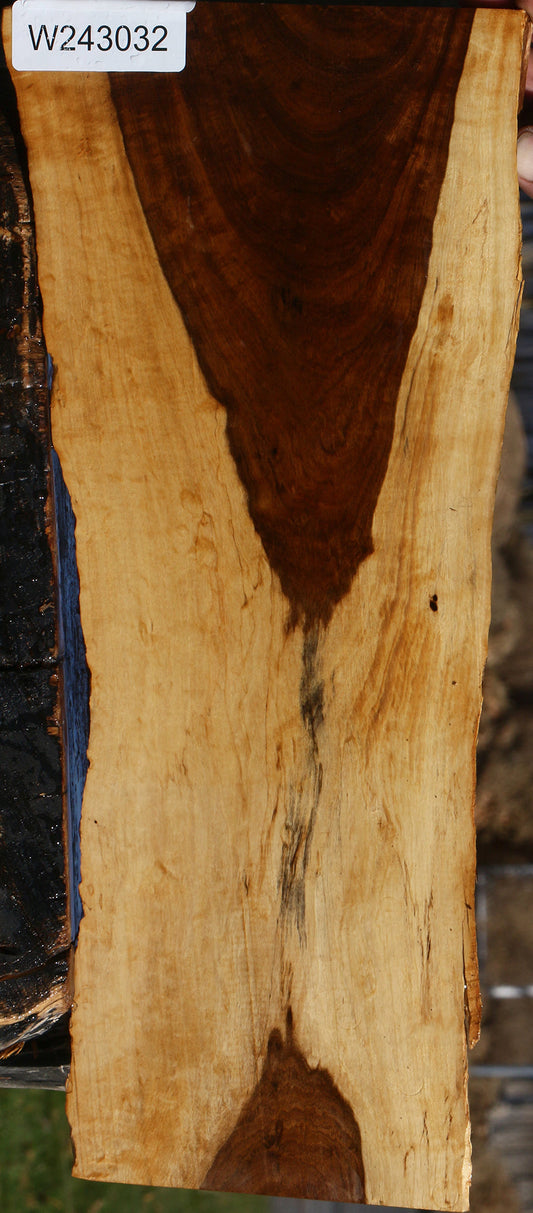 Figured Tamboti Live Edge Lumber