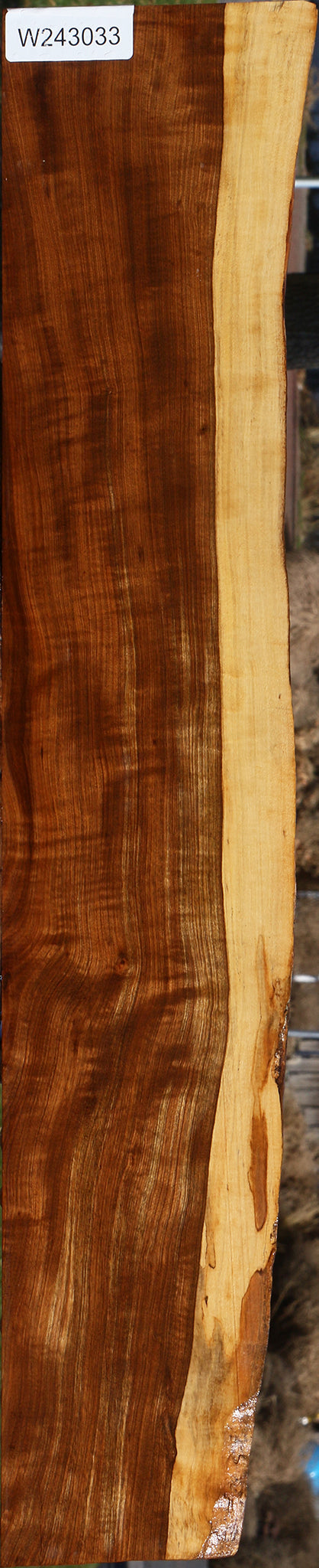 Extra Fancy Tamboti Live Edge Lumber