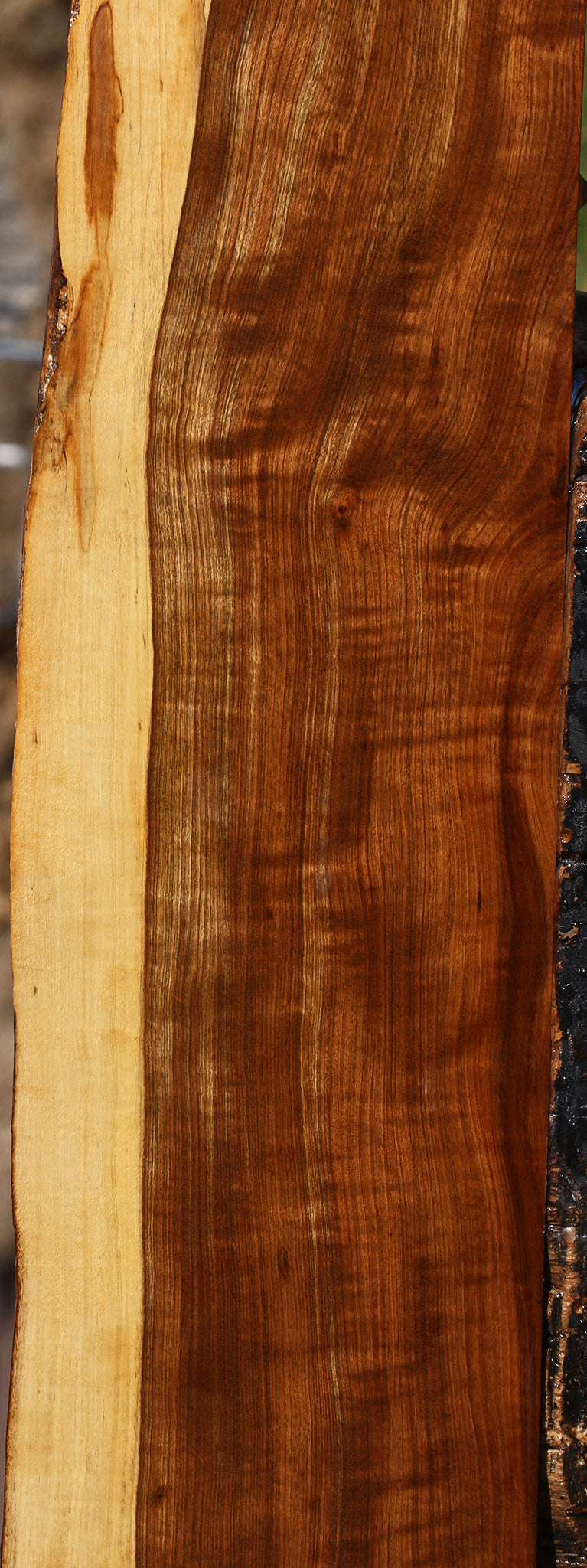 Extra Fancy Tamboti Live Edge Lumber