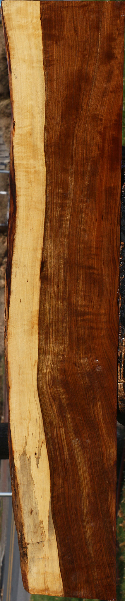 Extra Fancy Tamboti Live Edge Lumber