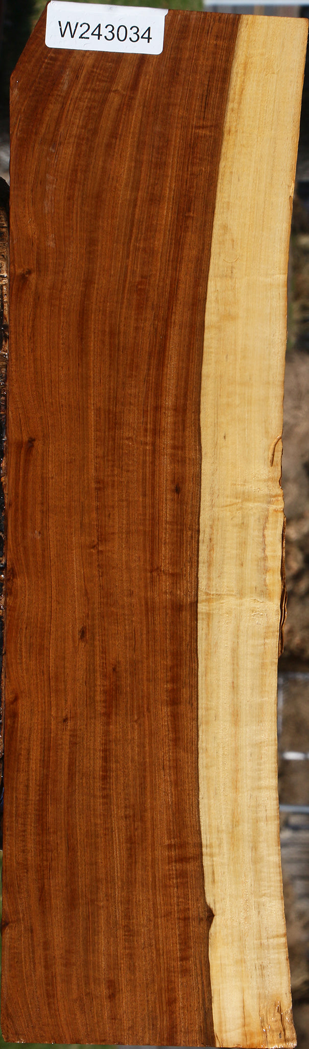 Figured Tamboti Live Edge Lumber