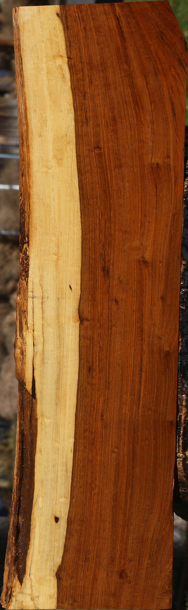 Figured Tamboti Live Edge Lumber