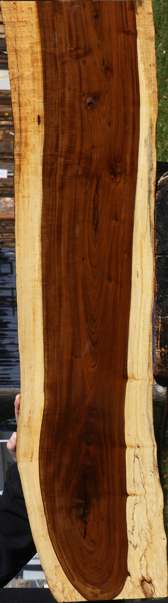 Tamboti Live Edge Lumber