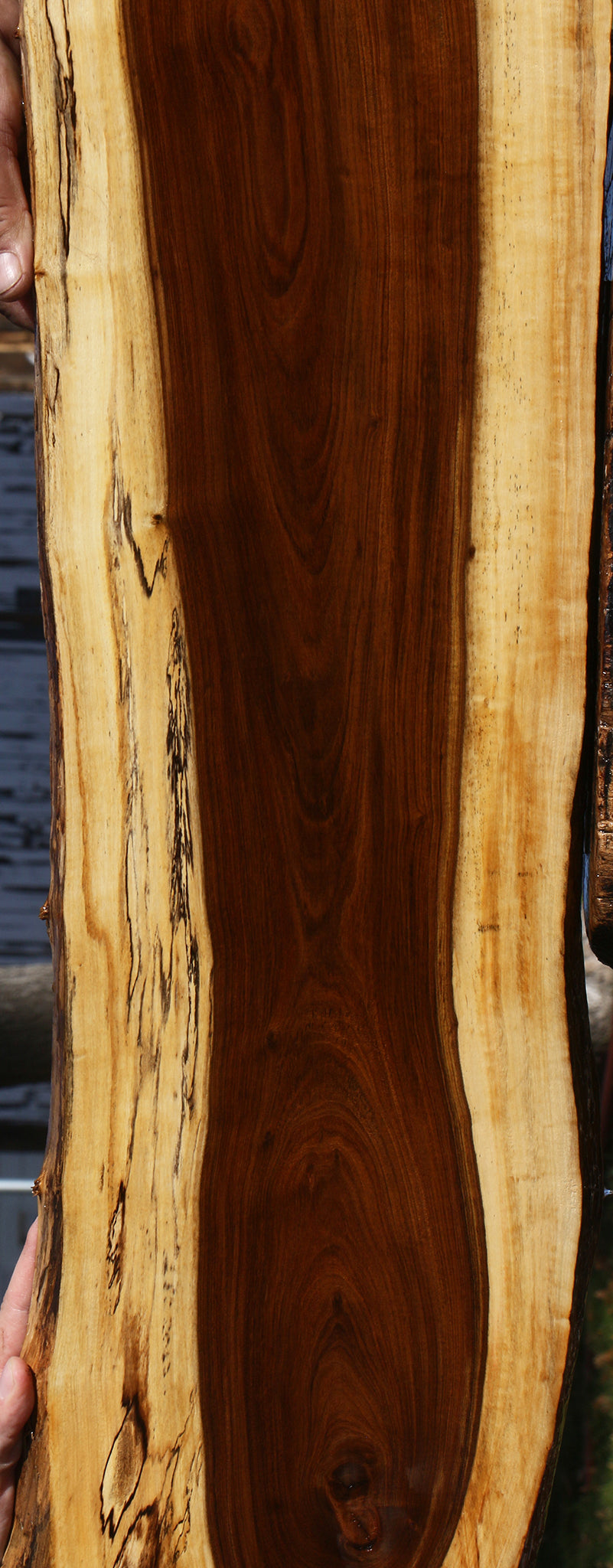 Tamboti Live Edge Lumber