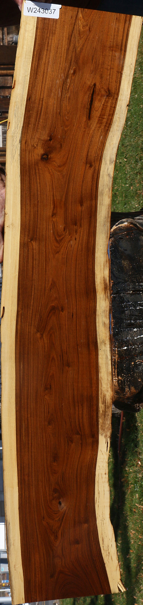 Tamboti Live Edge Lumber