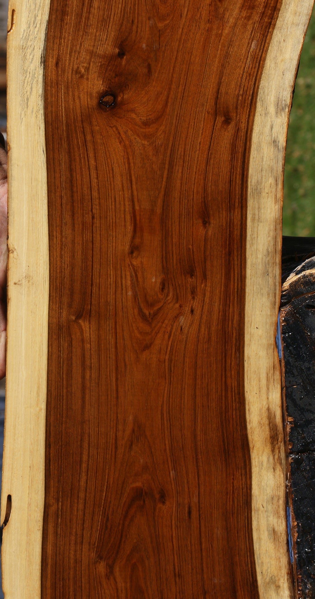 Tamboti Live Edge Lumber