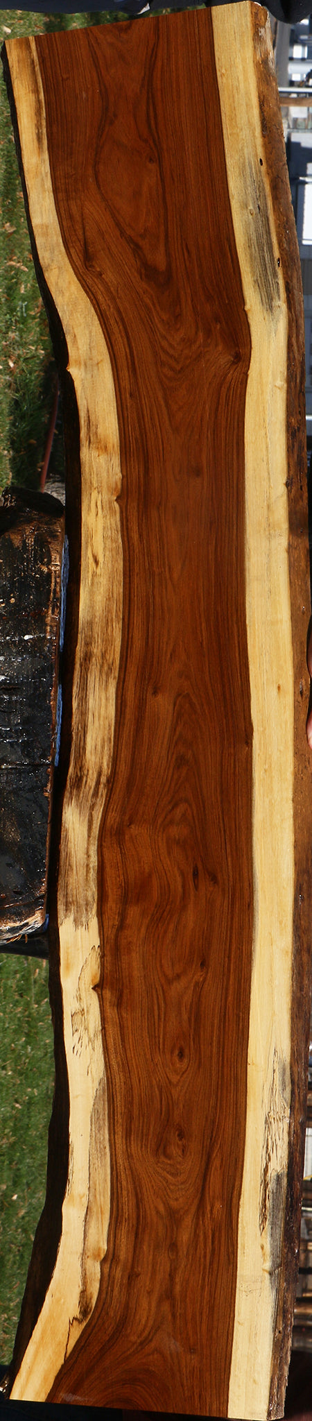 Tamboti Live Edge Lumber