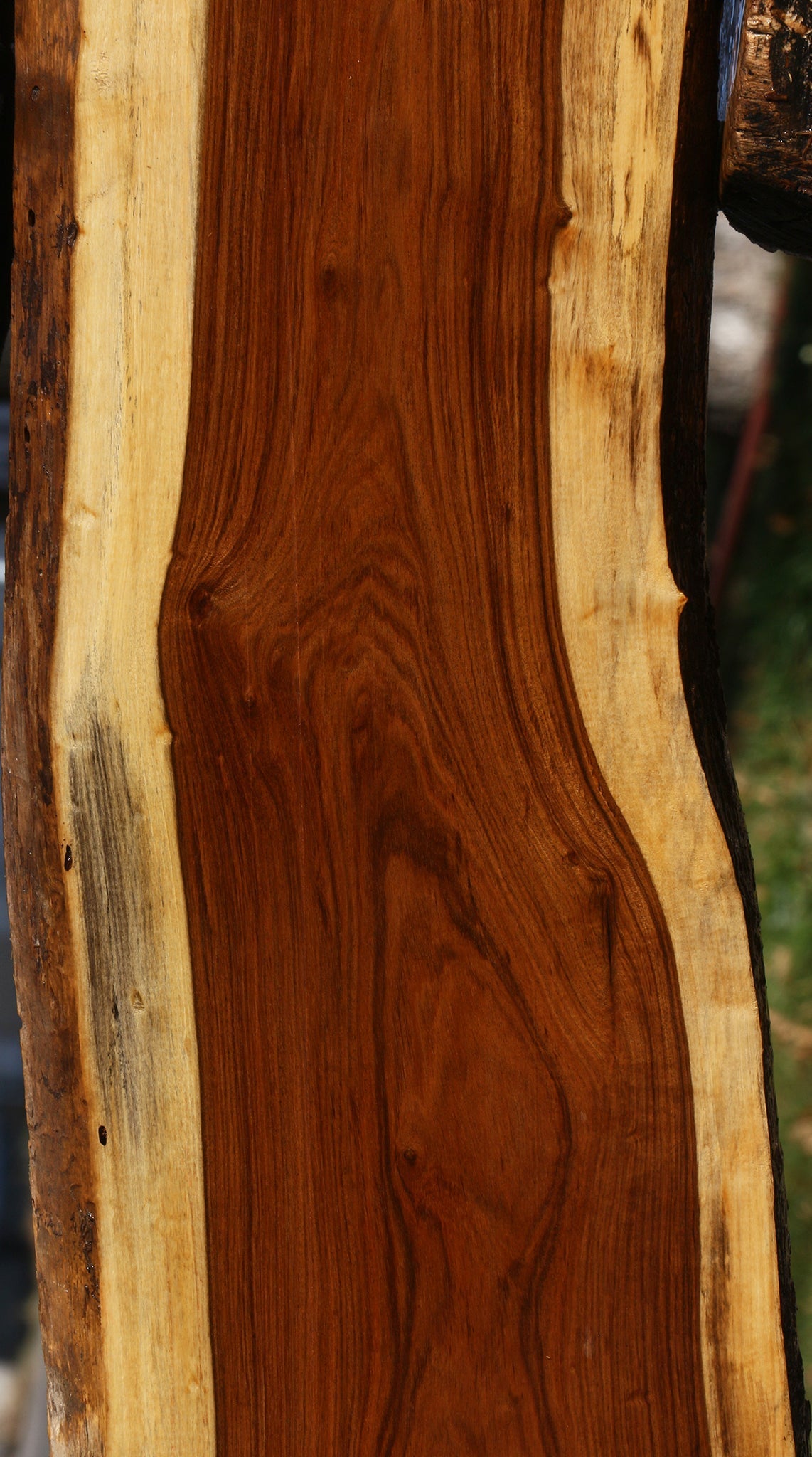 Tamboti Live Edge Lumber