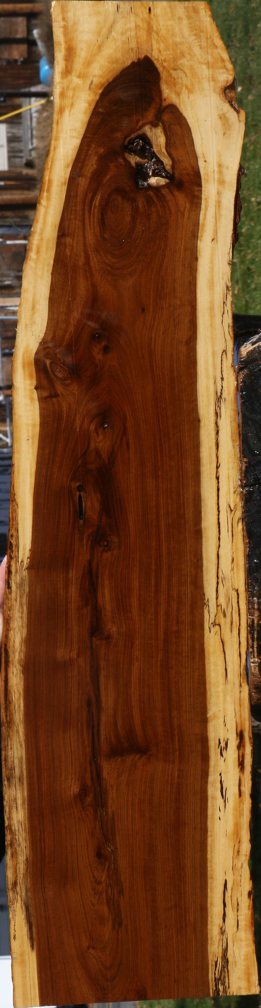 Tamboti Live Edge Lumber