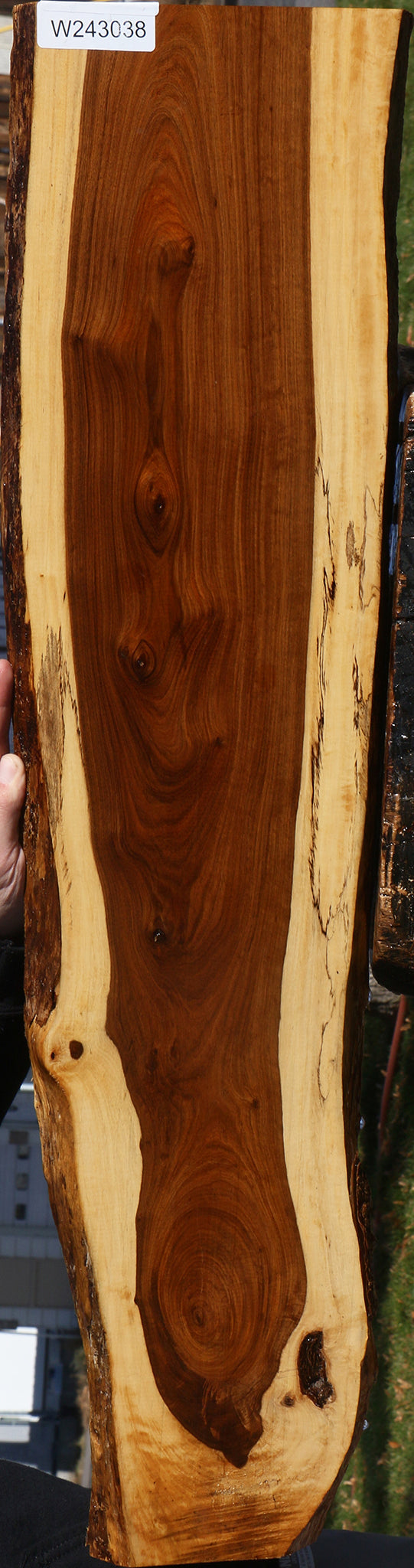 Tamboti Live Edge Lumber