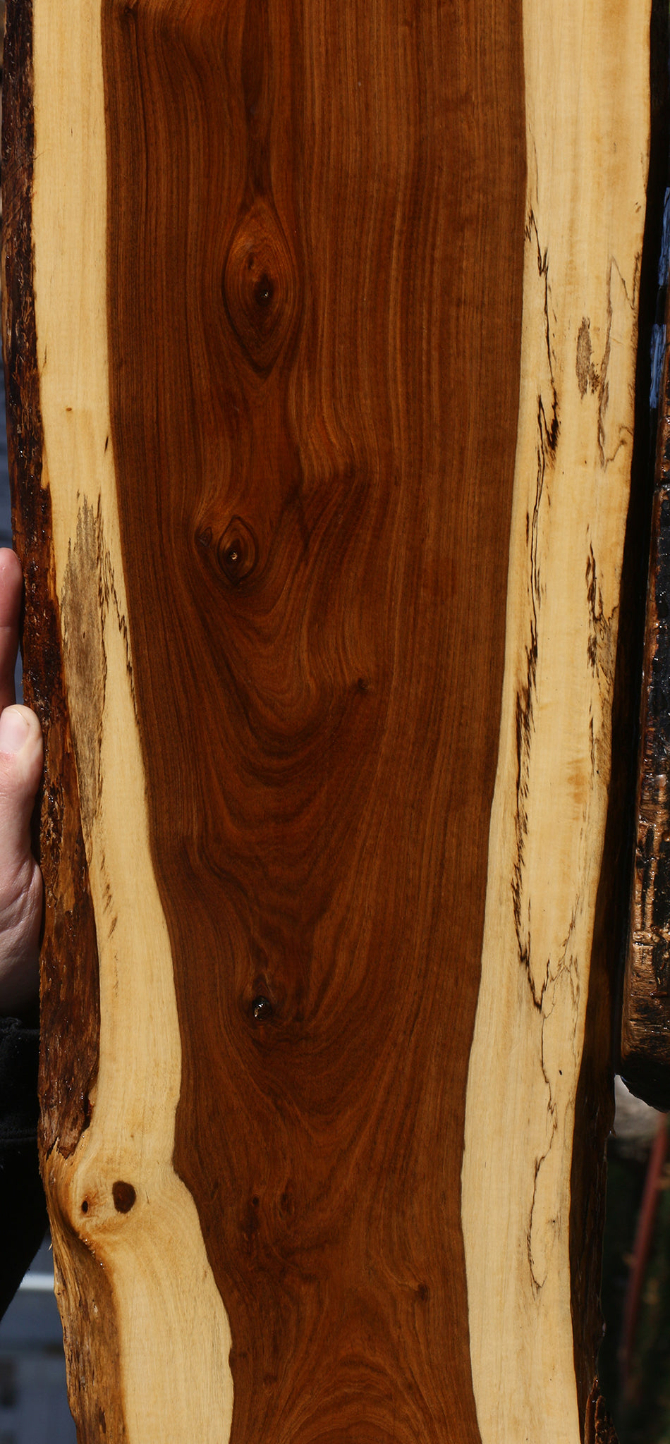 Tamboti Live Edge Lumber