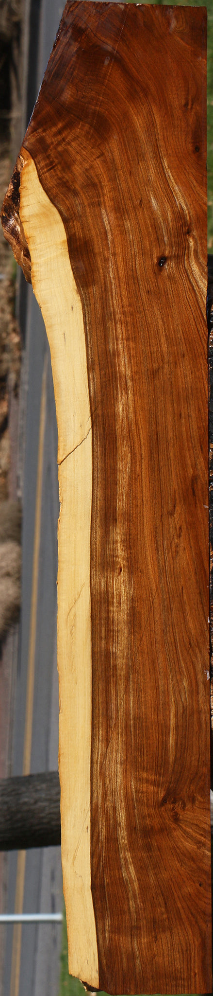 Figured Tamboti Live Edge Lumber