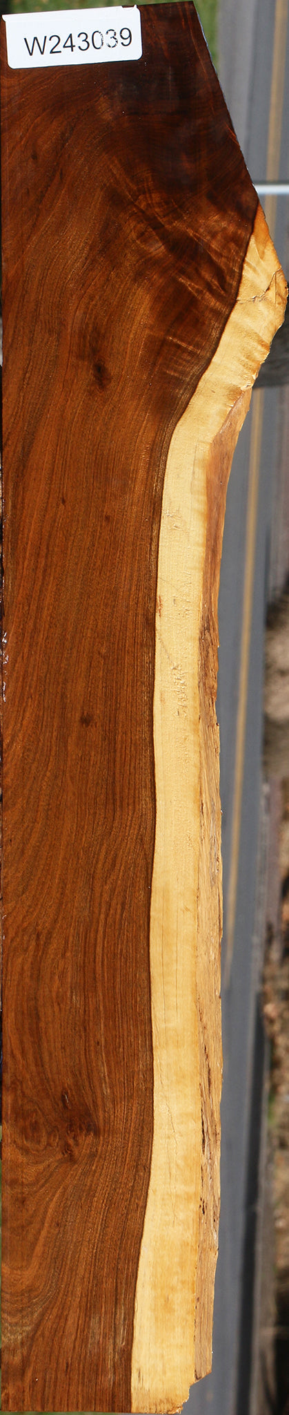 Figured Tamboti Live Edge Lumber