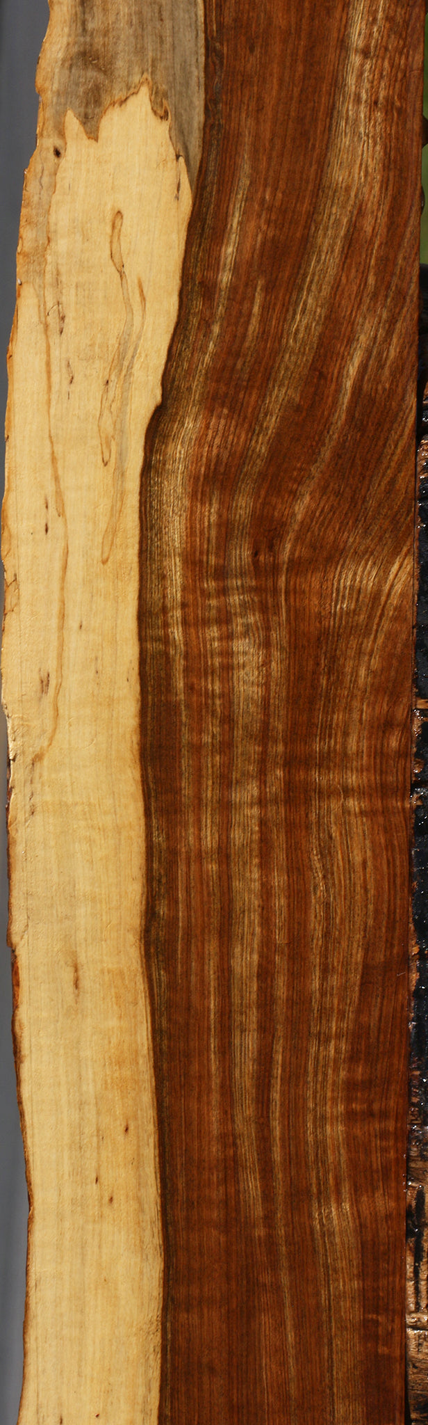 Figured Tamboti Live Edge Lumber