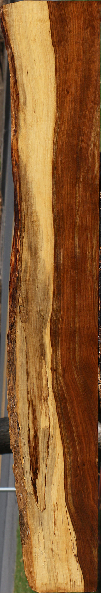 Figured Tamboti Live Edge Lumber