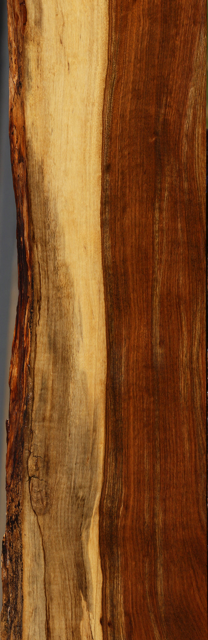 Figured Tamboti Live Edge Lumber