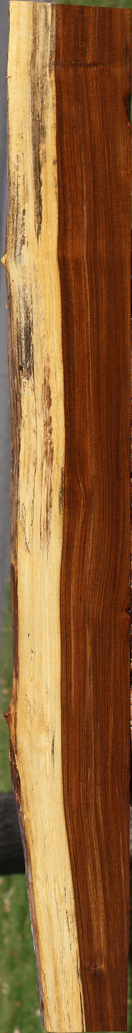 Tamboti Live Edge Lumber