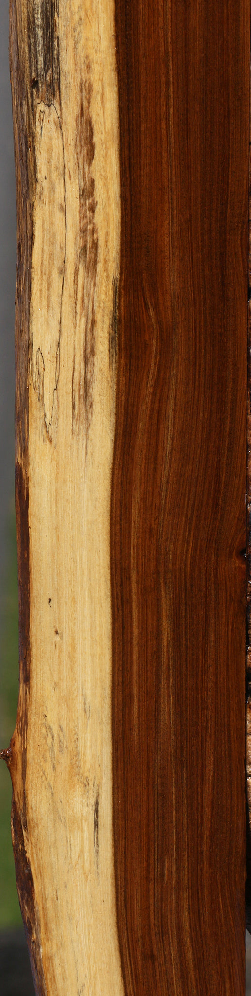 Tamboti Live Edge Lumber