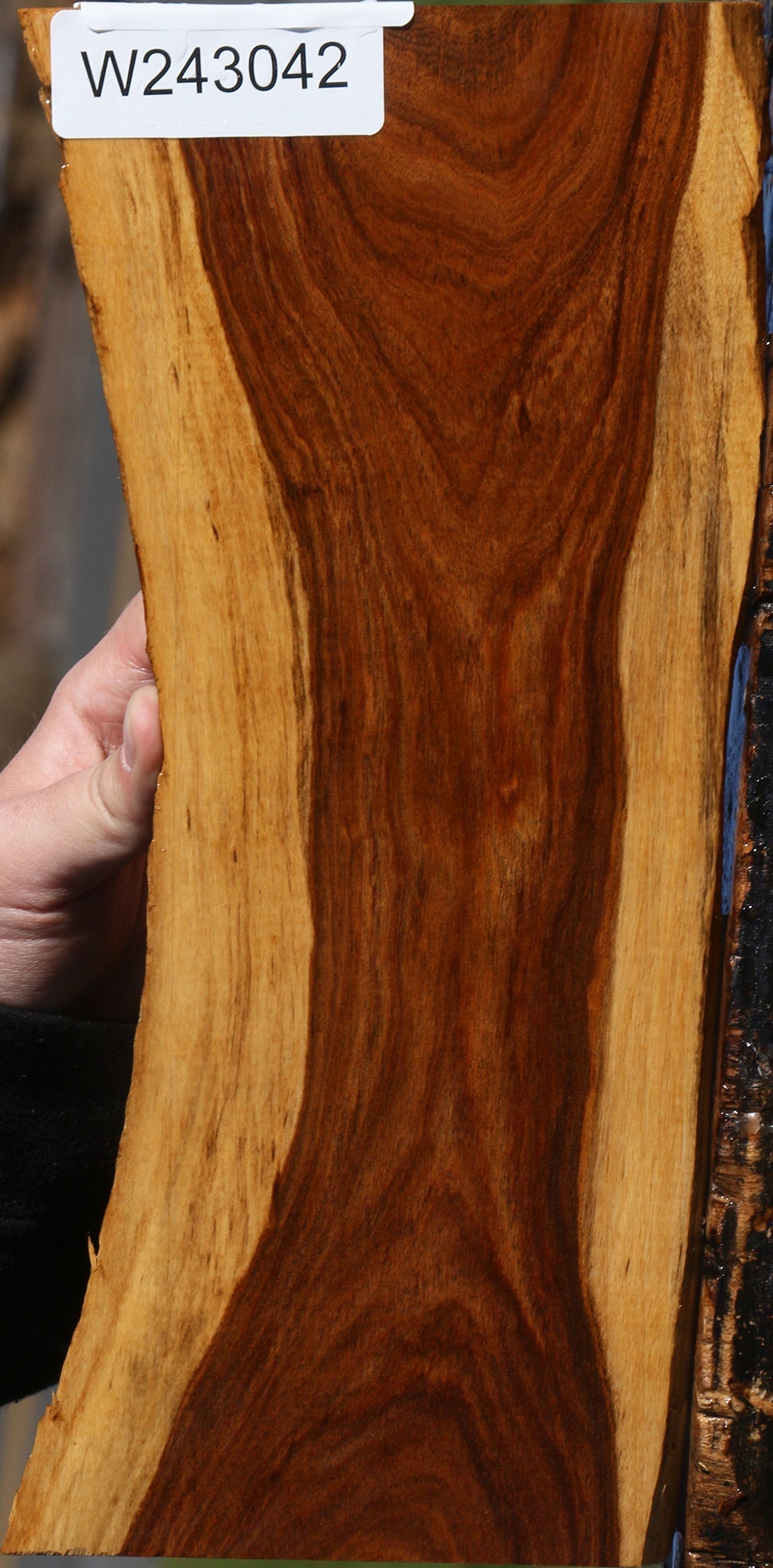 Rustic Tamboti Live Edge Lumber