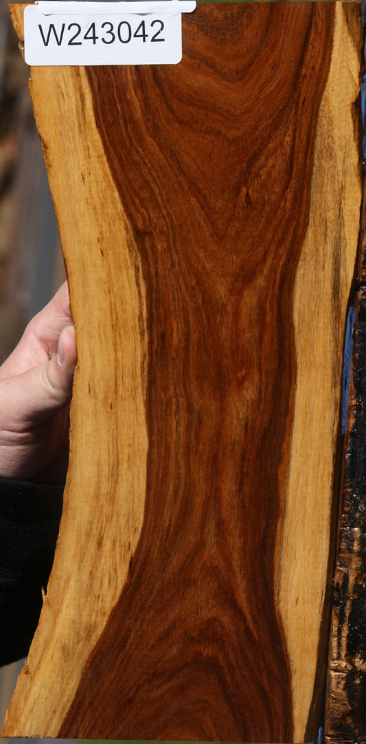 Rustic Tamboti Live Edge Lumber