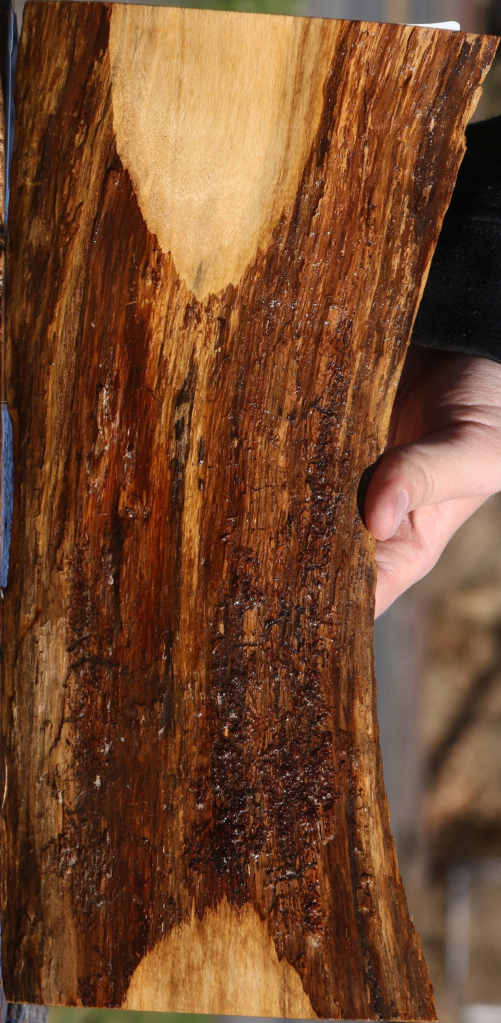 Rustic Tamboti Live Edge Lumber