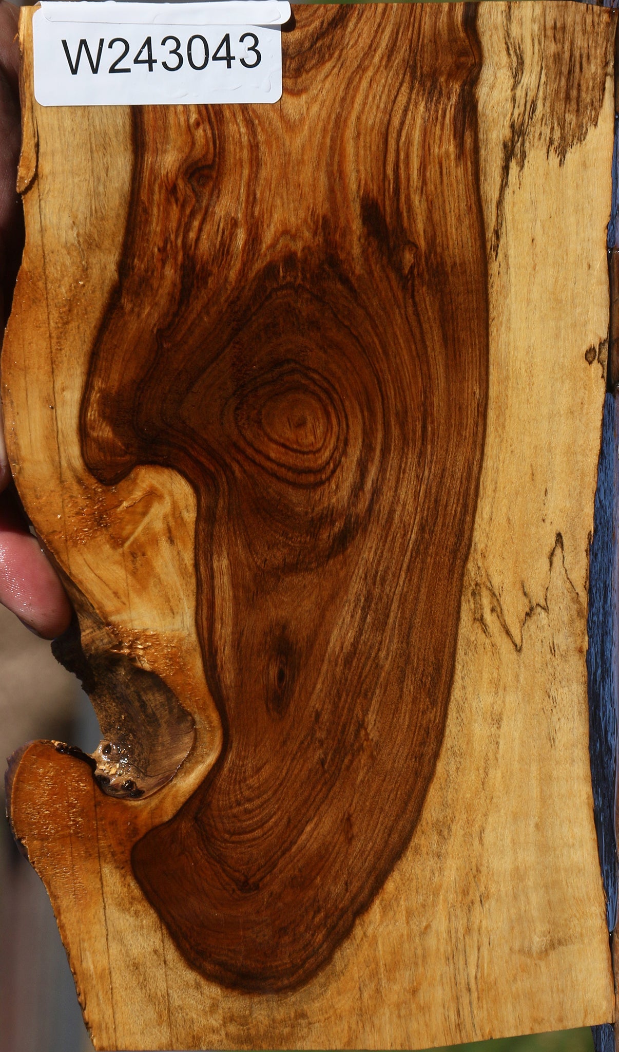 Tamboti Live Edge Lumber